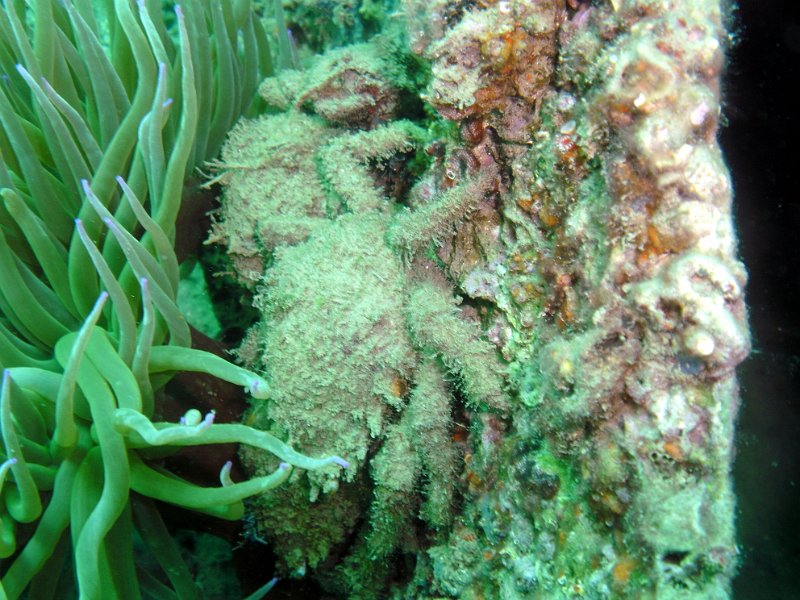 2012-09-08 11-16-52 Ludo.jpg